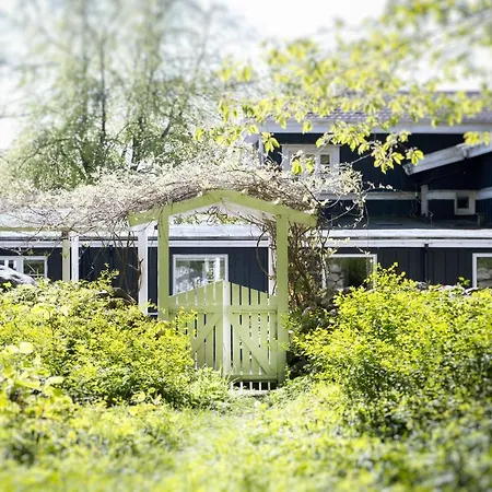 Brinkly סנקרסטן