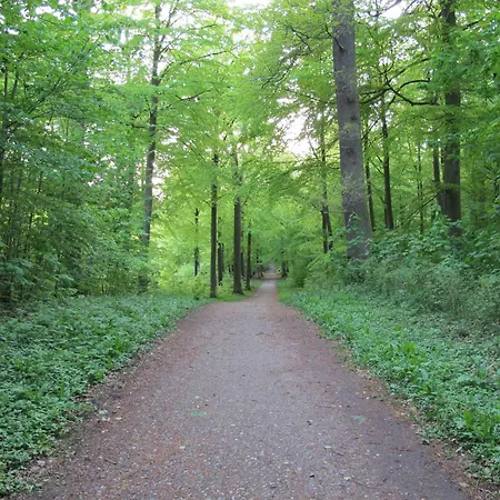 Brinkly Snekkersten