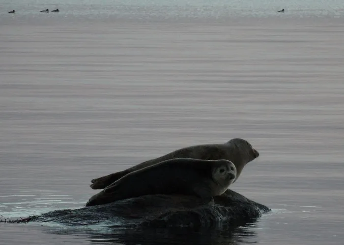 Brinkly 3* Snekkersten